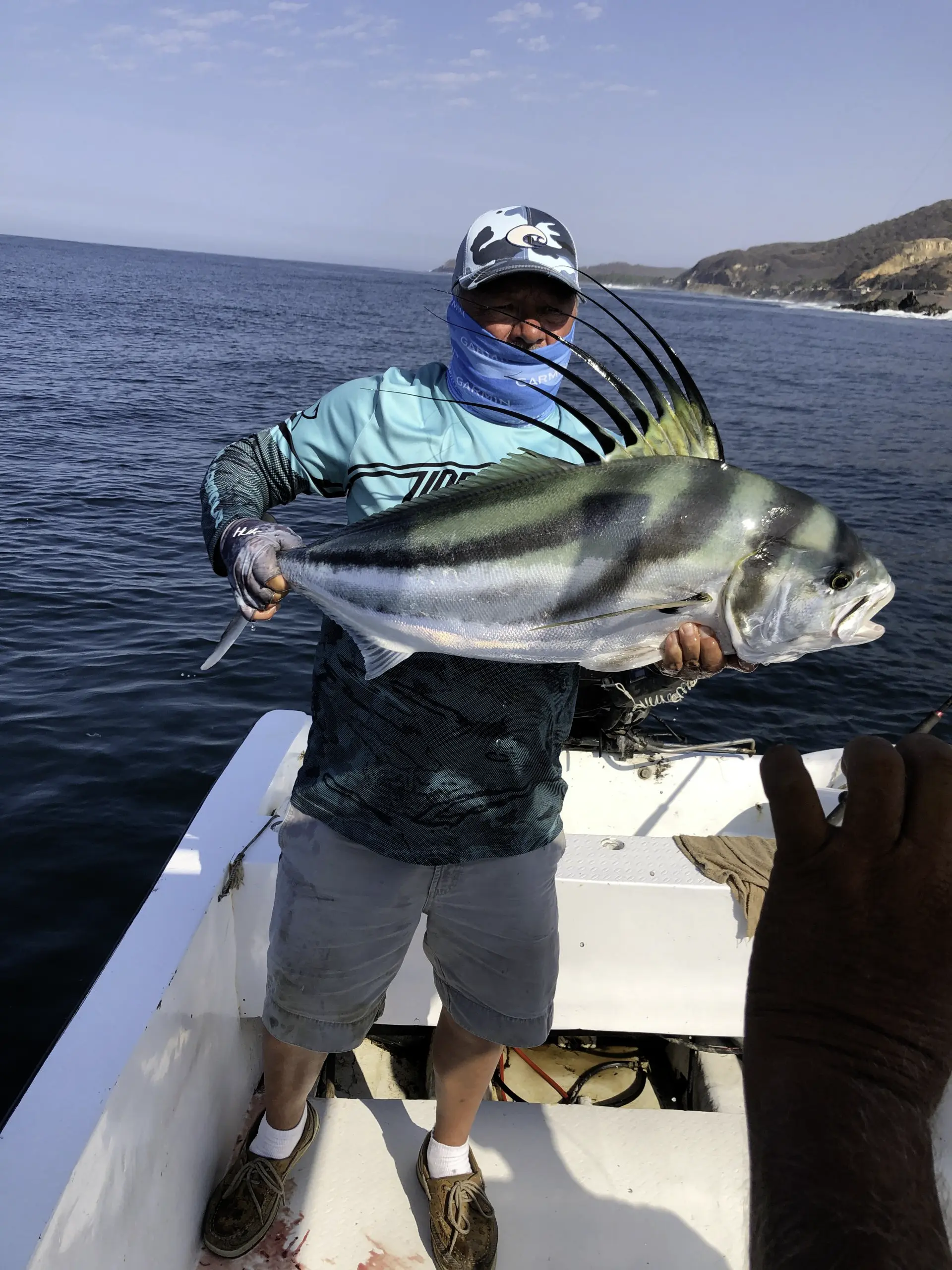 Roosterfish - click to enlarge Yellowfin Tuna