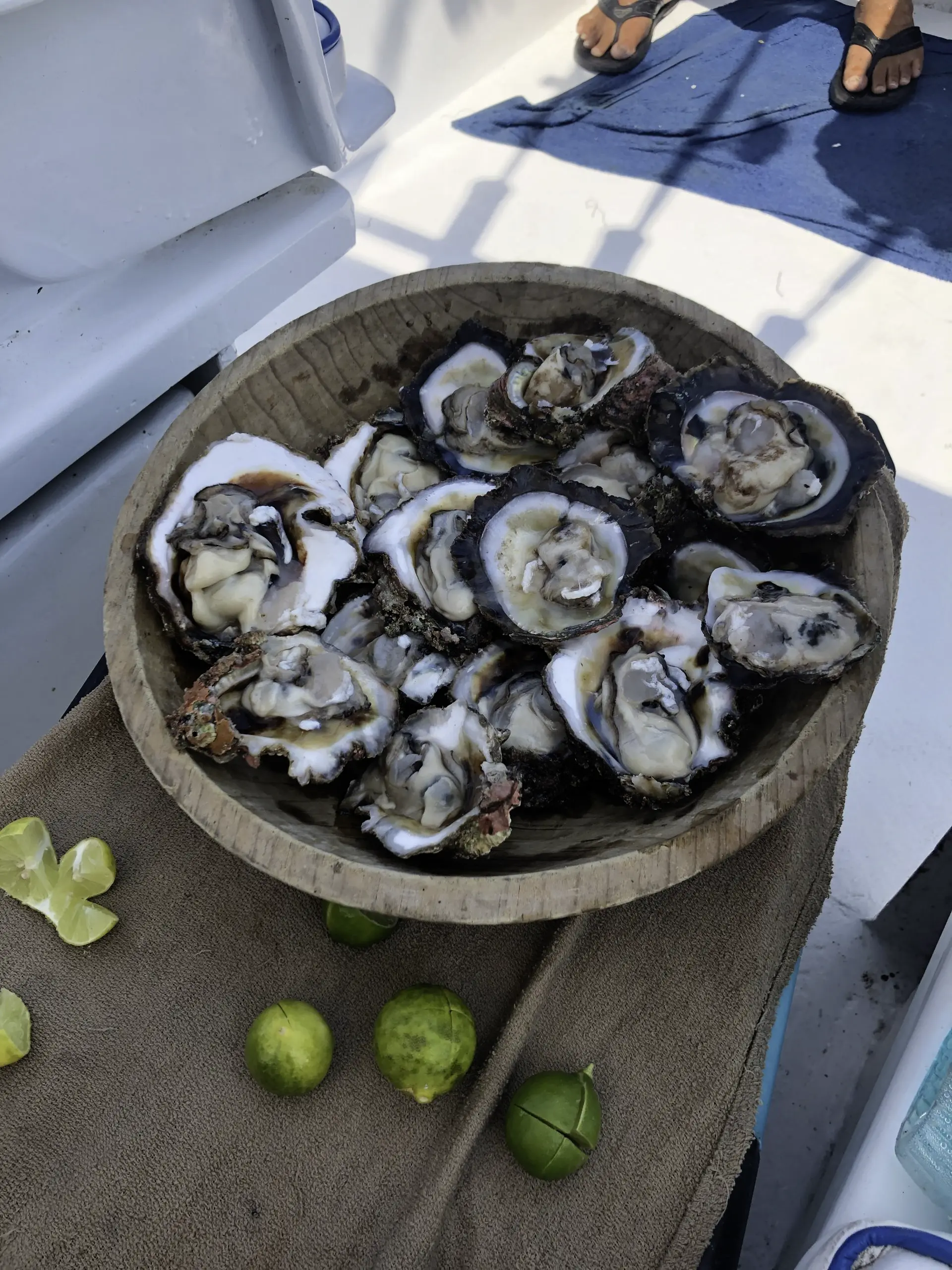 Oysters and limes - click to enlarge Oysters and limes