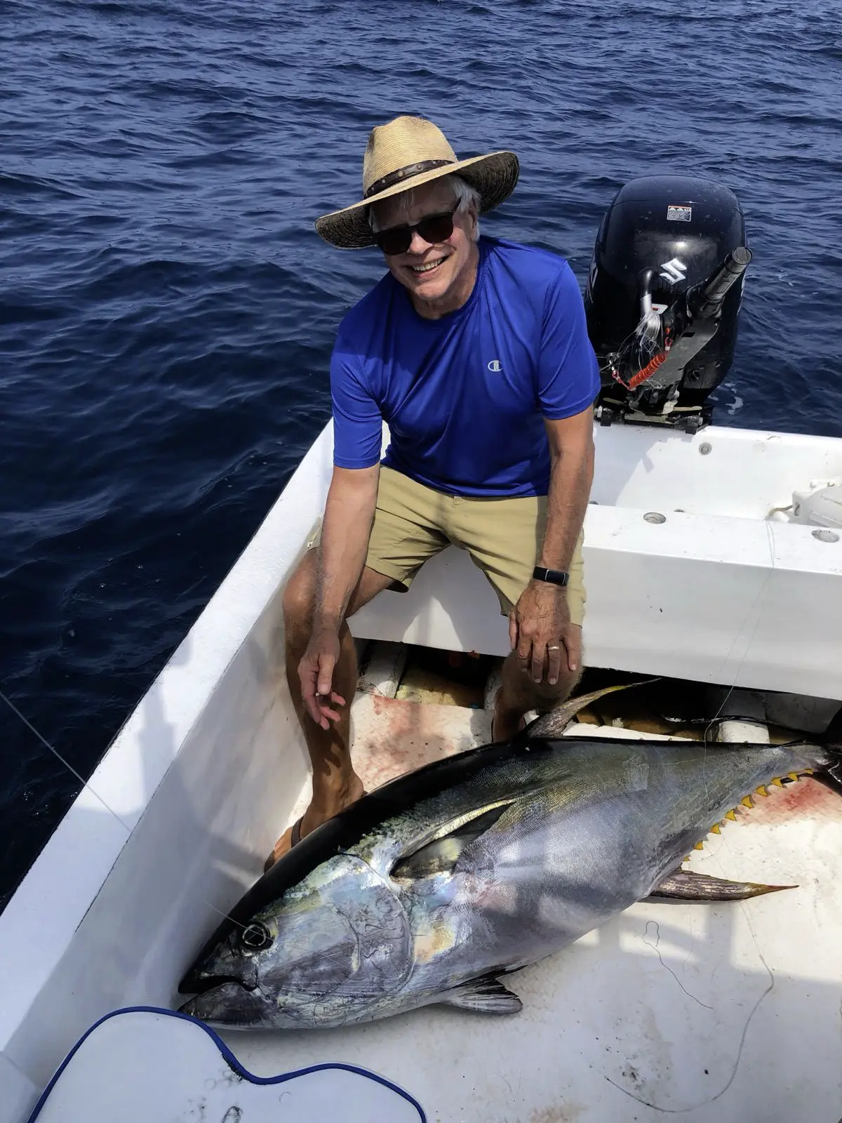 Yellowfin Tuna - click to enlarge Yellowfin Tuna